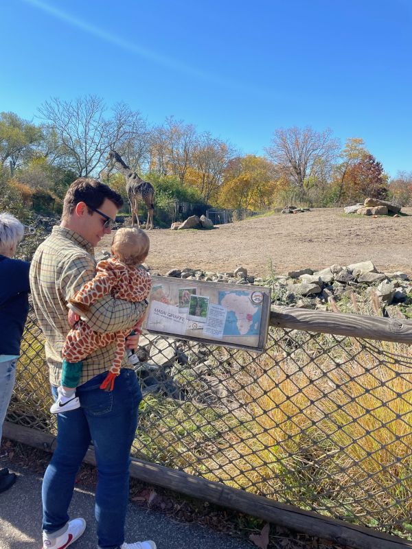 Watching Giraffes at the Zoo