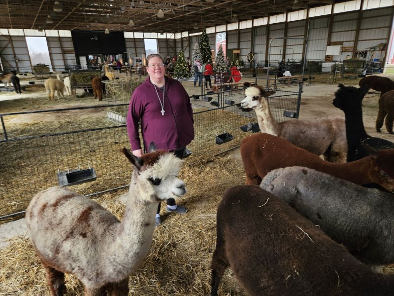 Rebecca Meeting Alpacas