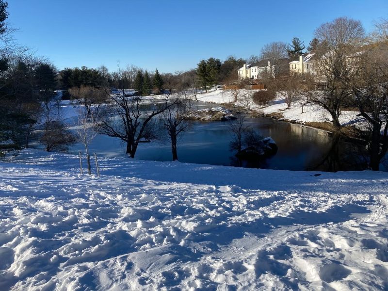 Our Community Winter View