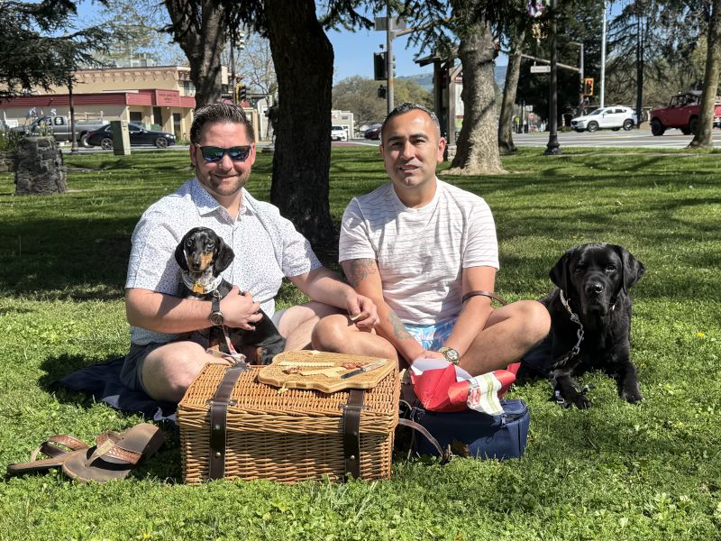 Enjoying a Picnic with the Dogs
