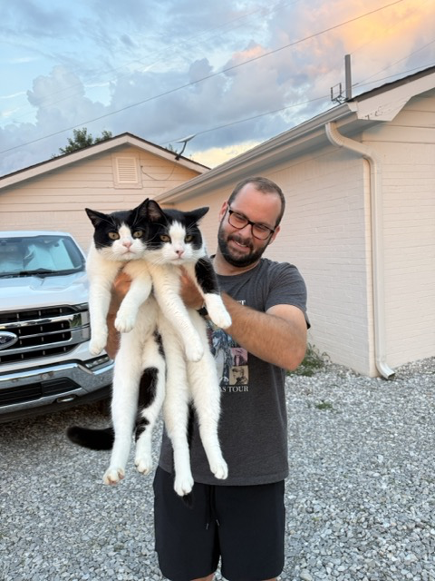 Derek and the Cats